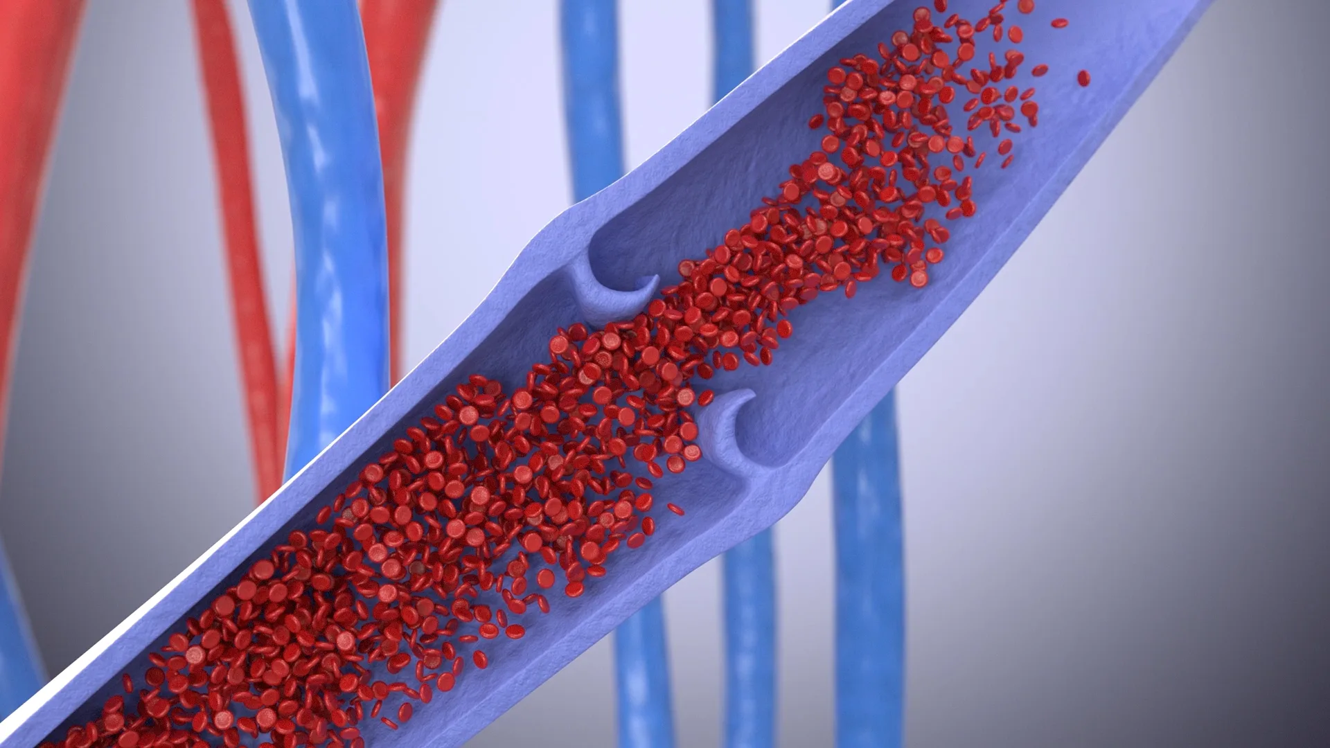 Procedural Visualization